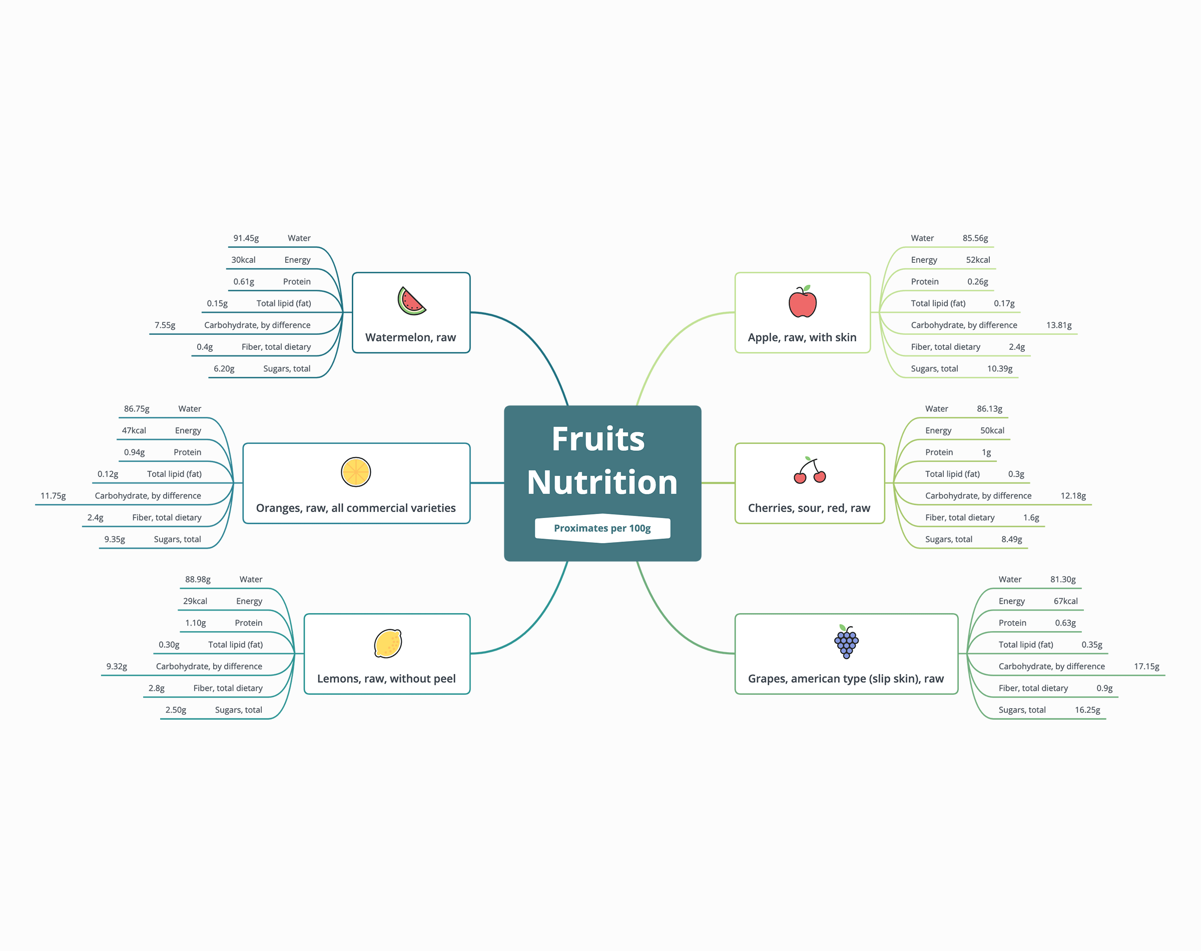 Xmind Mind Mapping Software