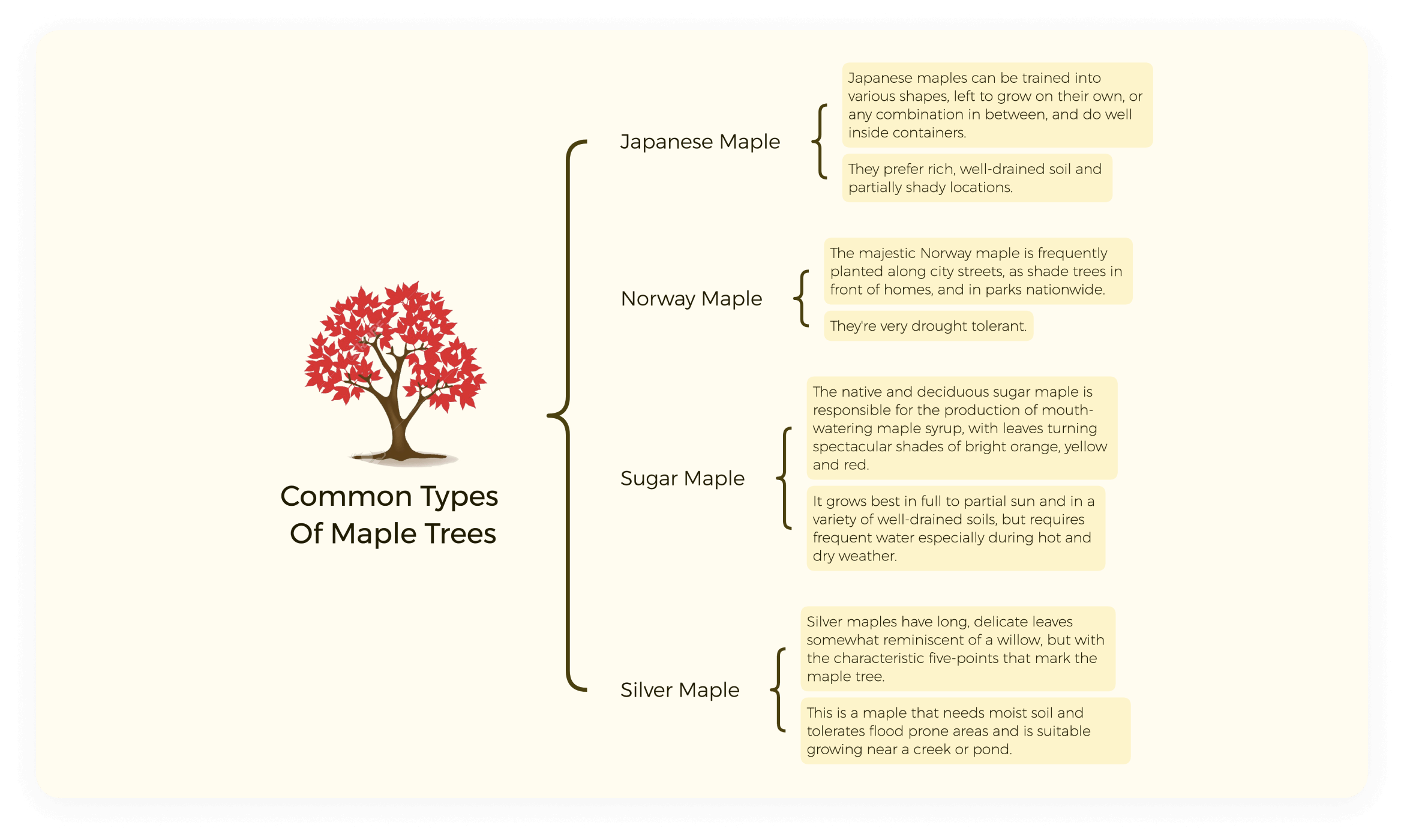 creating an org chart using xmind