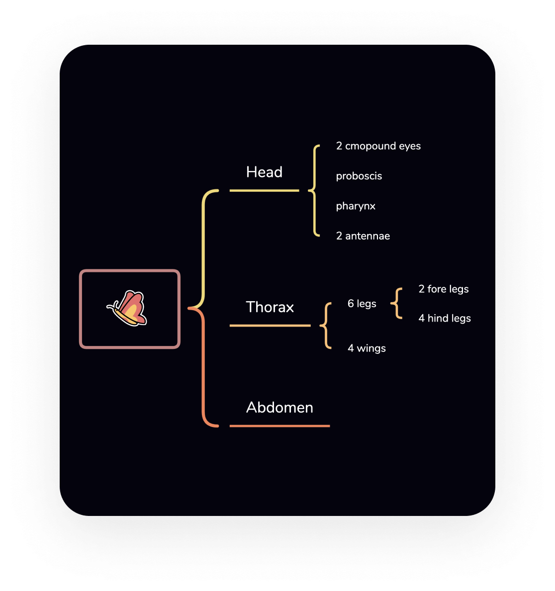 Xmind Mind Mapping Software 2230